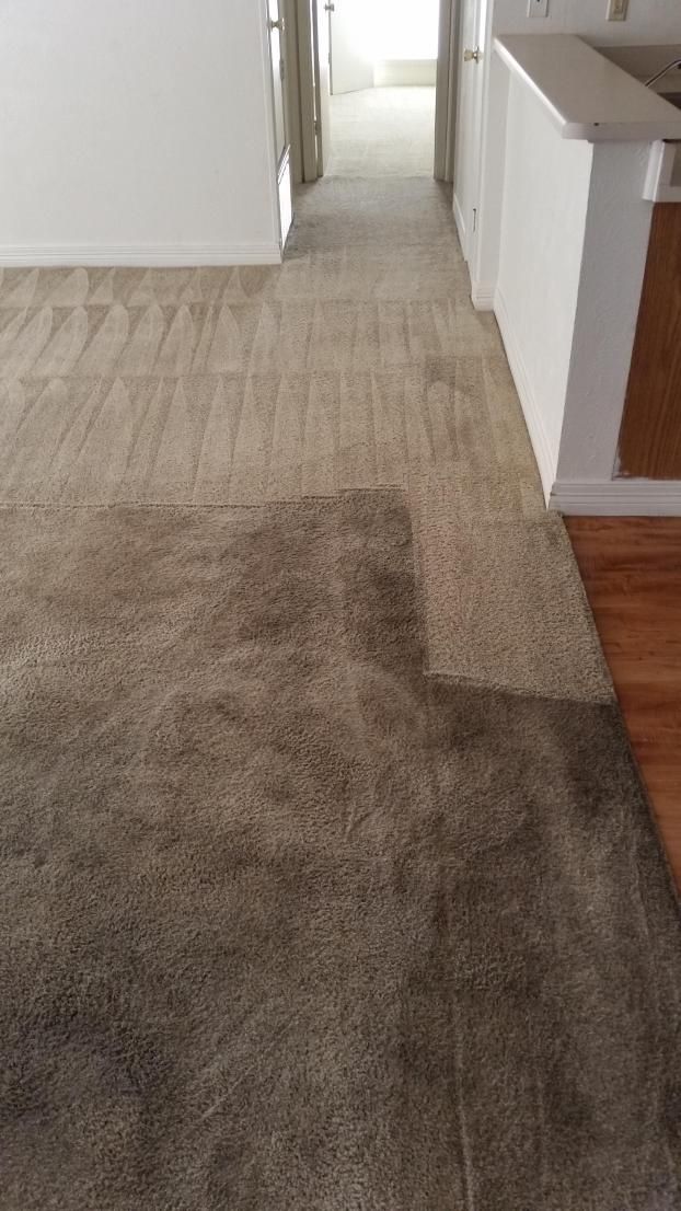 Rug Cleaning Service Kerrville, TX Carpet Cleaning in Kerrville, TX Hill Country Carpet Cleaning